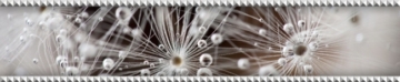 00124788